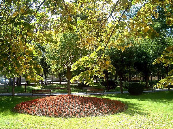 park_01_2005