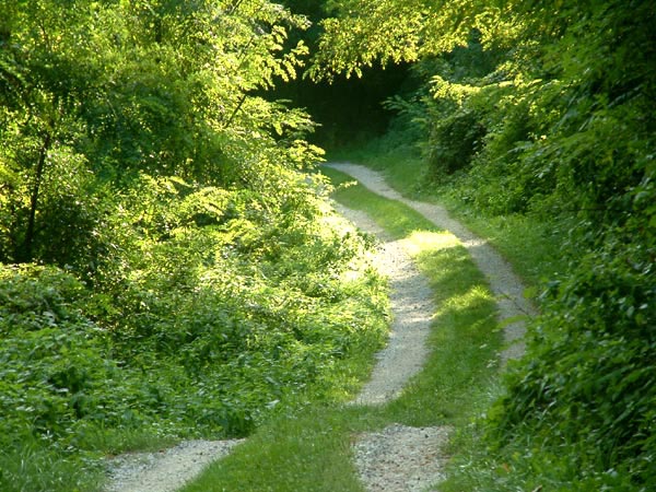 staza_pigikvila_01_2005
