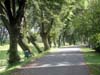 nasip_04_petrinjcica_2005