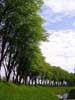 nasip_08_petrinjcica_2004