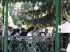 park_19