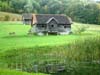 zelena_dolina_01_2005